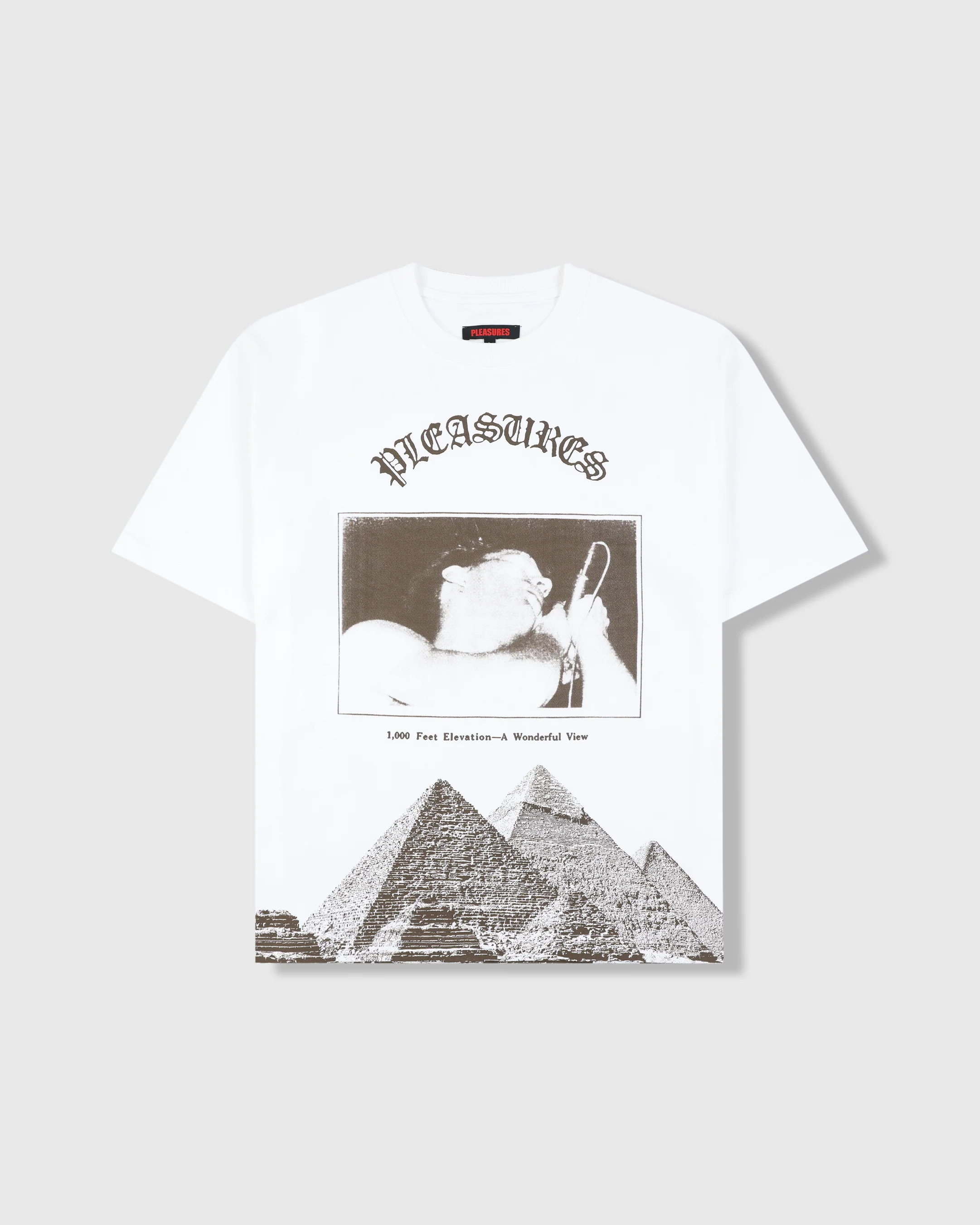 PLEASURES ELEVATION HEAVYWEIGHT SHIRT - Tôpette Skateboards & Lifestyle